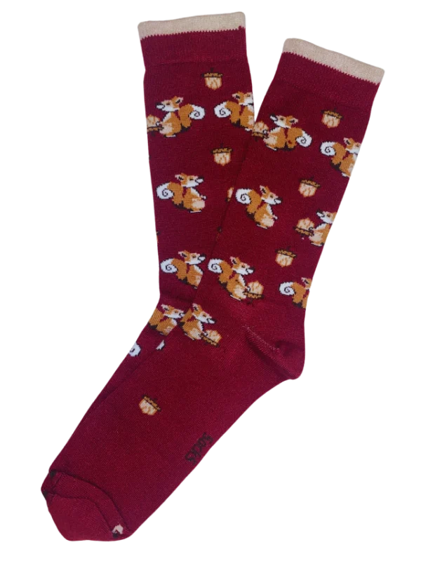 Meia divertida Esquilo - Mountain Socks